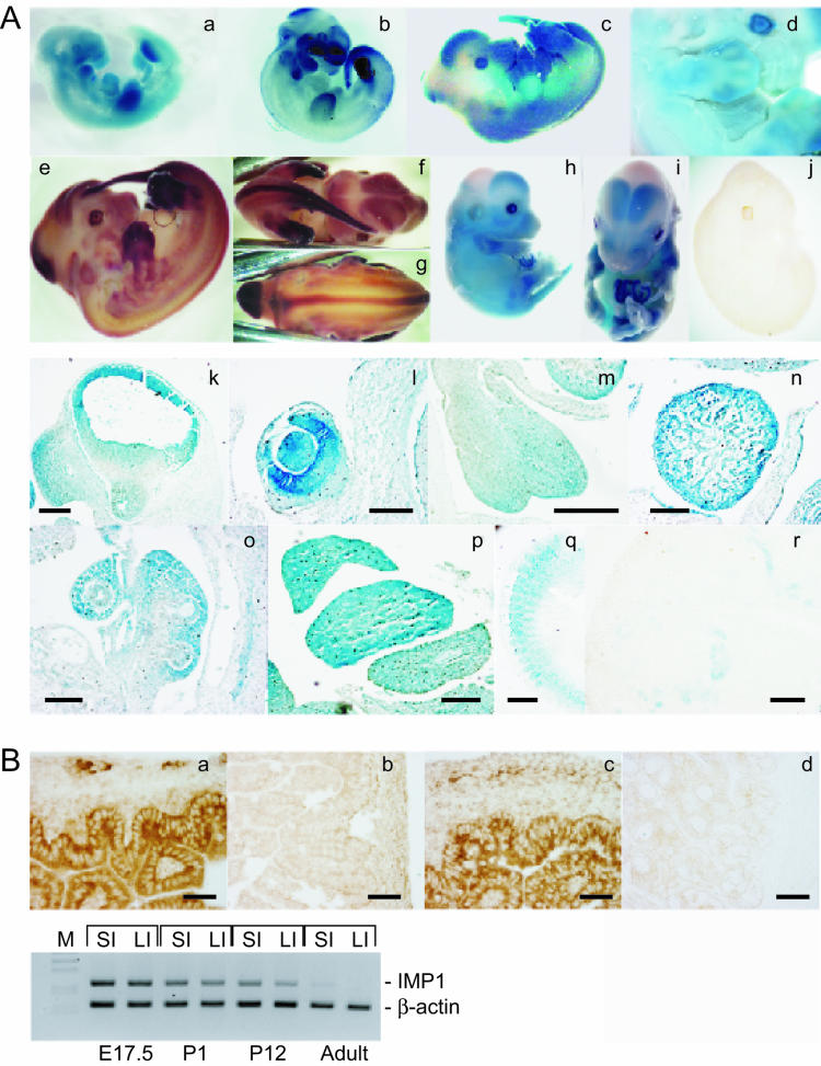 FIG.2.