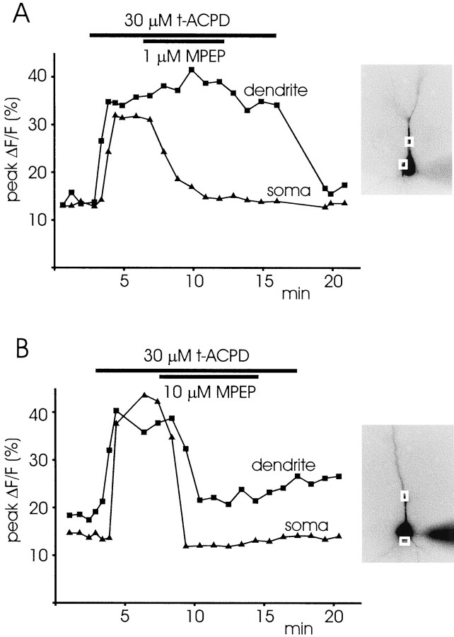 Fig. 10.