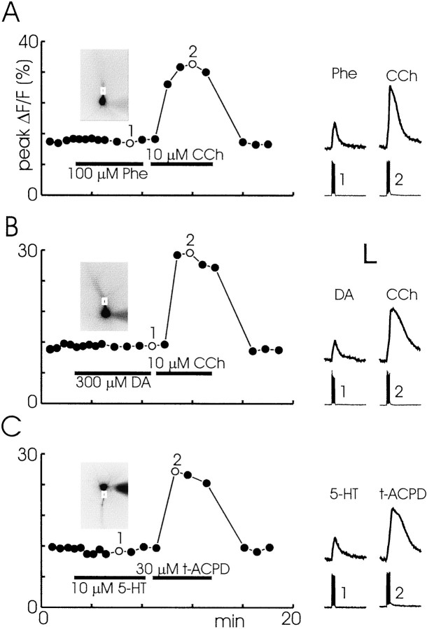 Fig. 12.