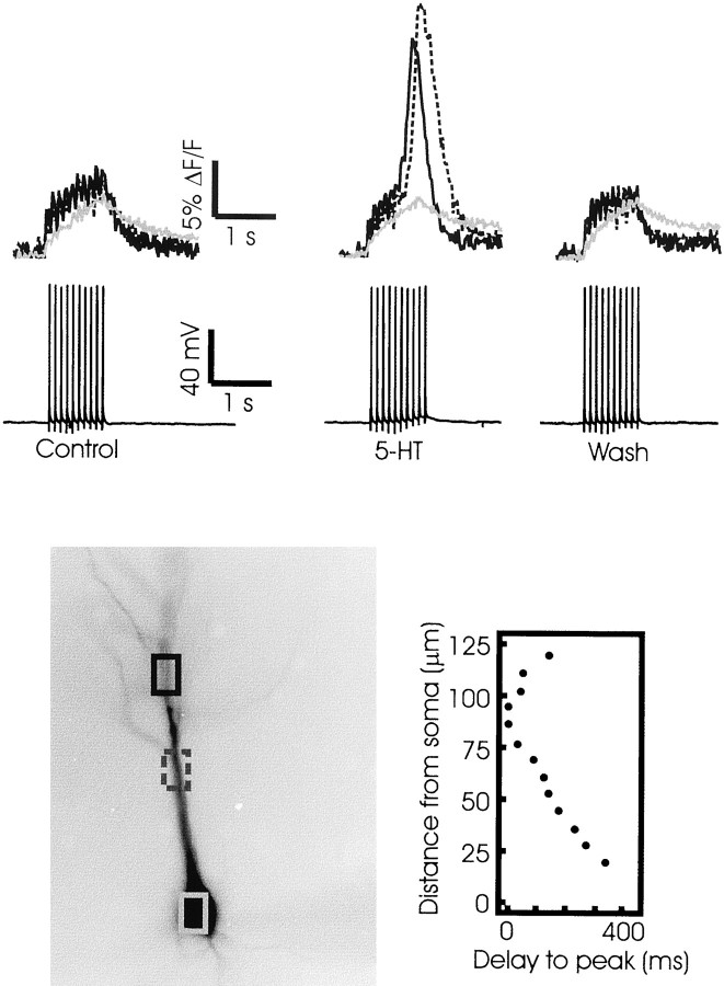 Fig. 13.