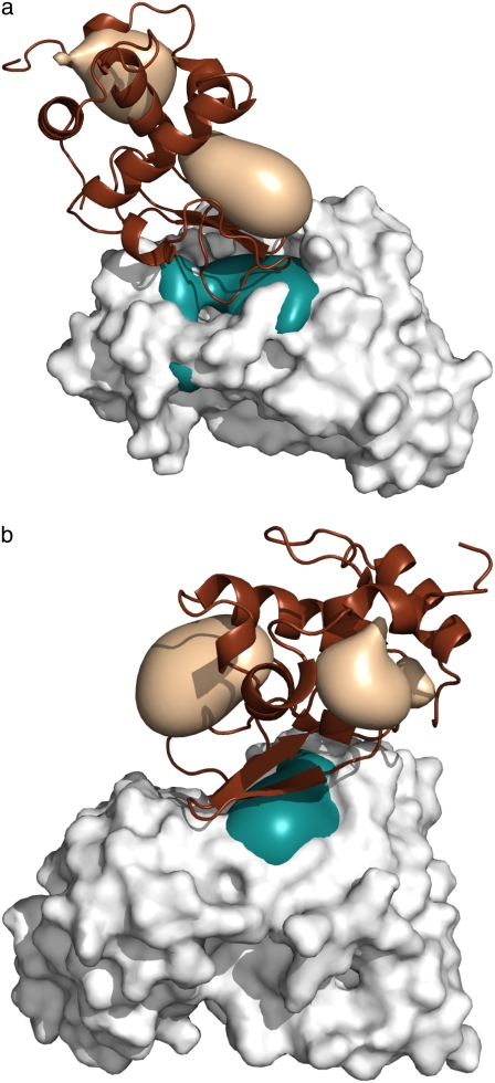 FIGURE 4