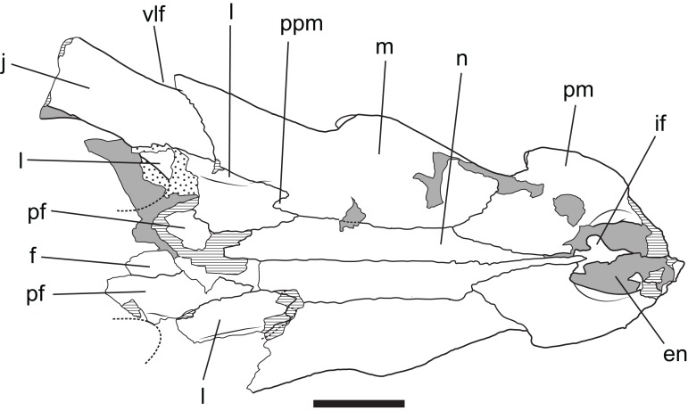 Figure 13