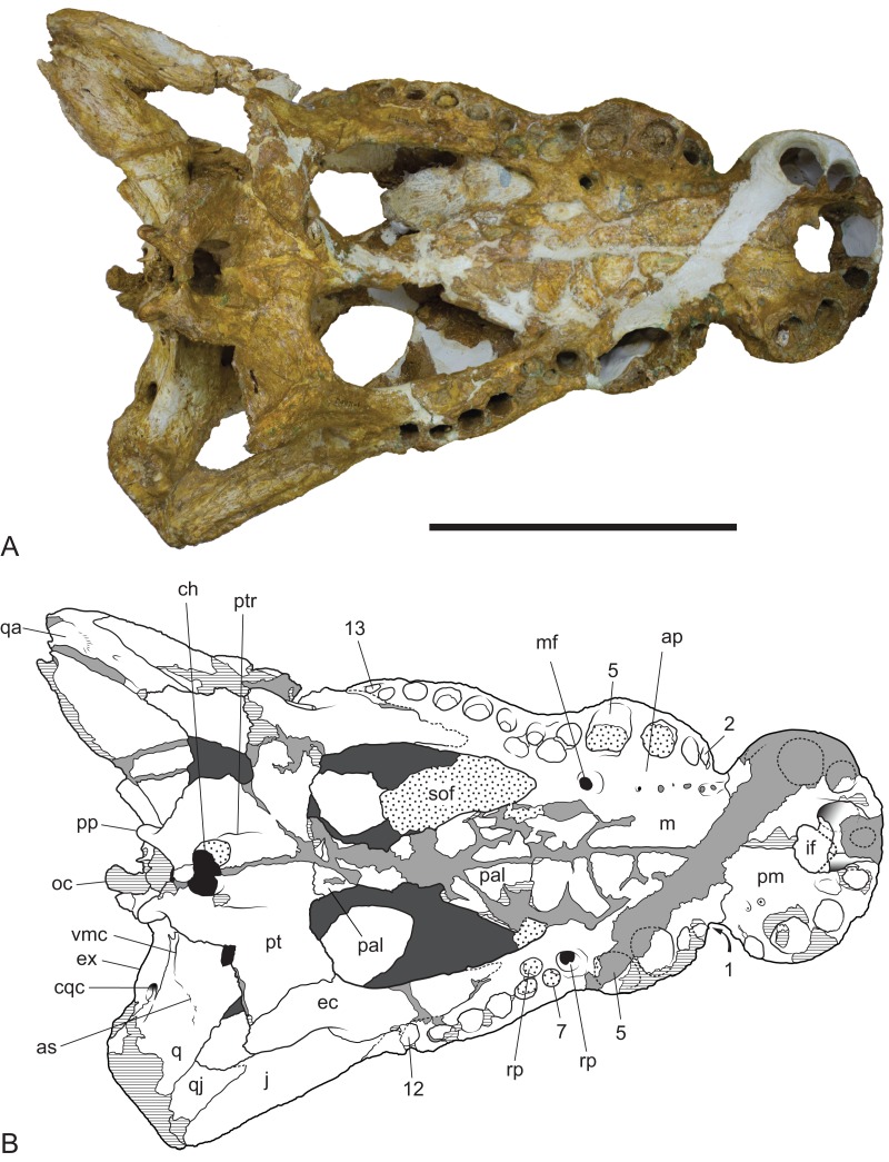 Figure 11