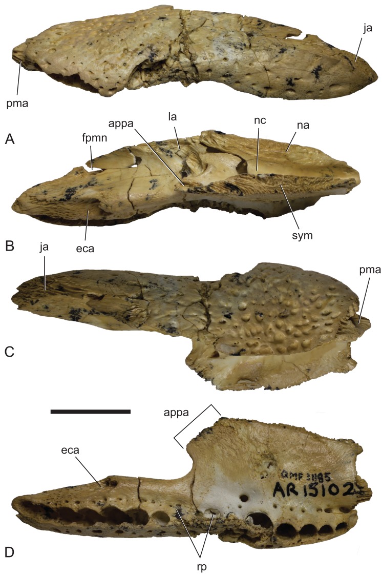 Figure 18