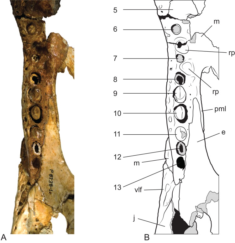 Figure 14