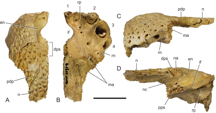 Figure 17