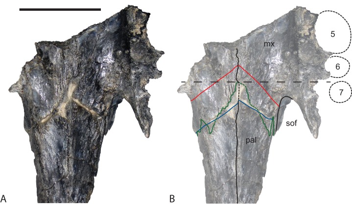 Figure 19