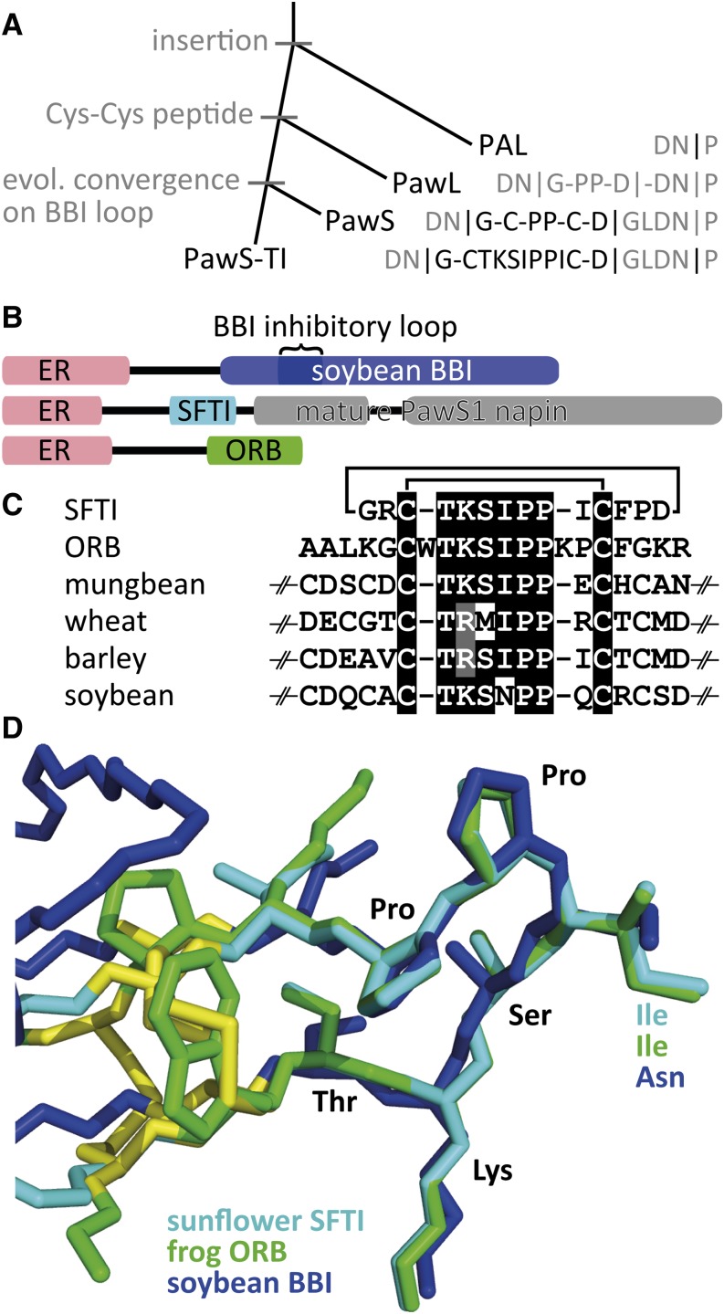 Figure 5.