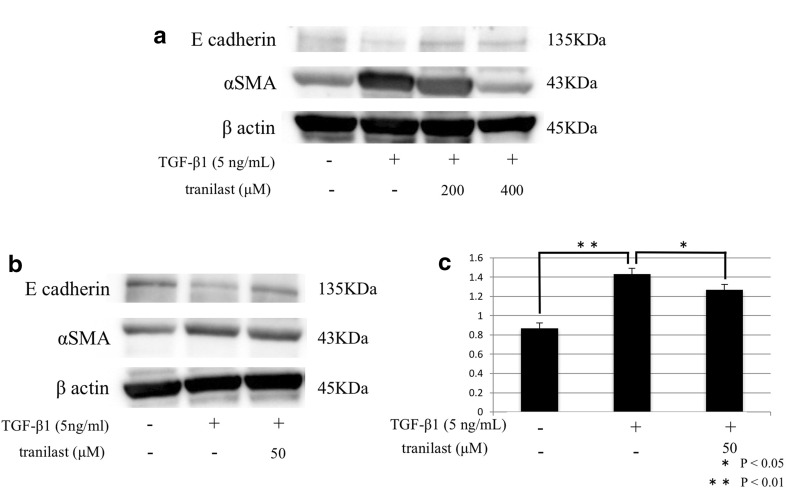 Fig. 3a–c