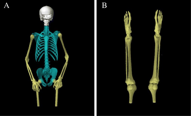 Fig. 2