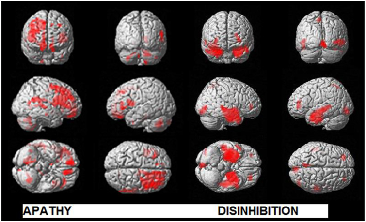 Fig. 1: