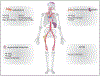 Figure 1.—