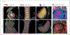 Figure 2.—