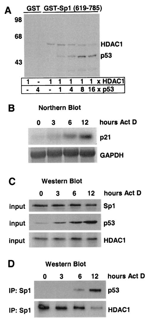 FIG. 5.