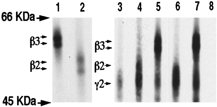 Fig. 11.