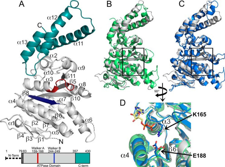 FIGURE 2.