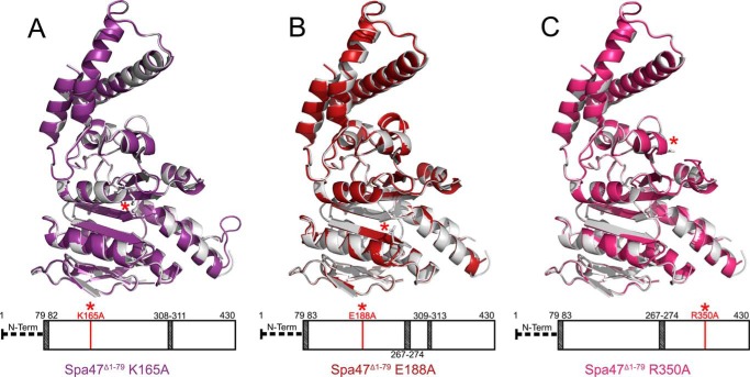 FIGURE 4.