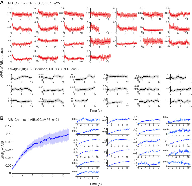 Figure 4—figure supplement 2.