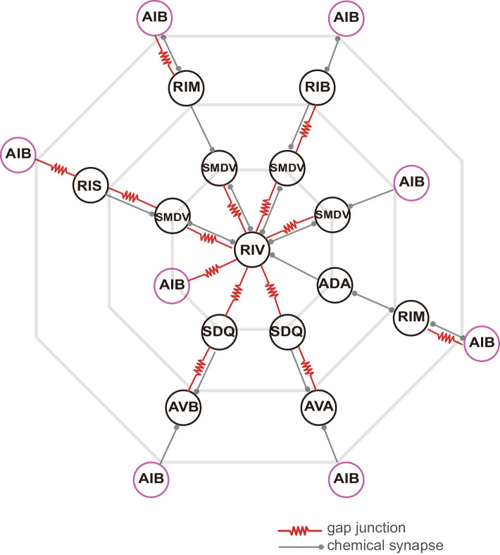 Figure 3—figure supplement 1.