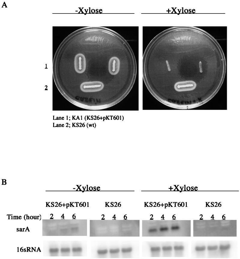 FIG. 7.