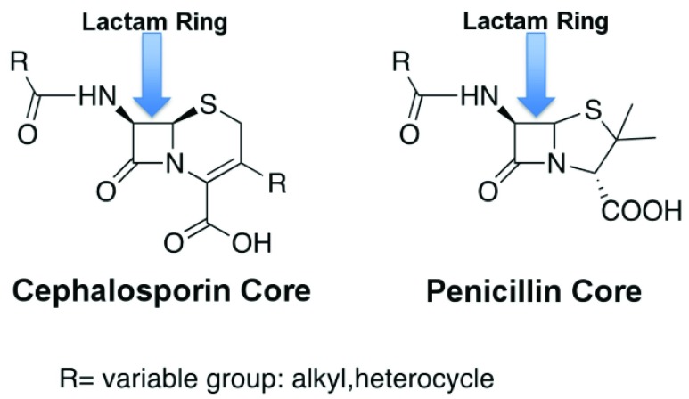 FIGURE 1.