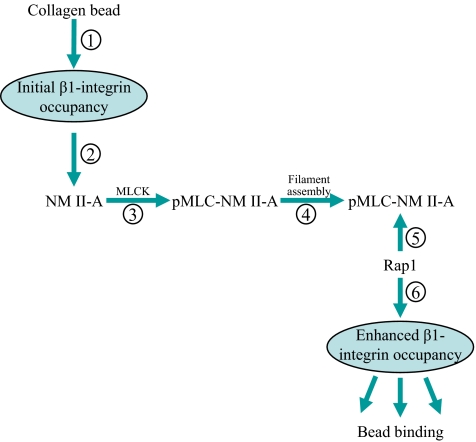 Figure 9.