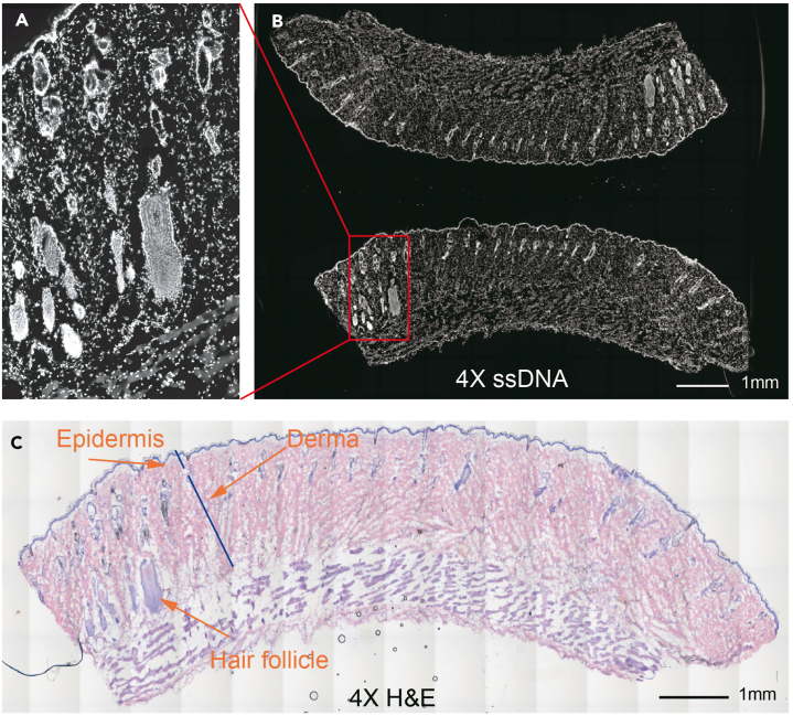 Figure 10