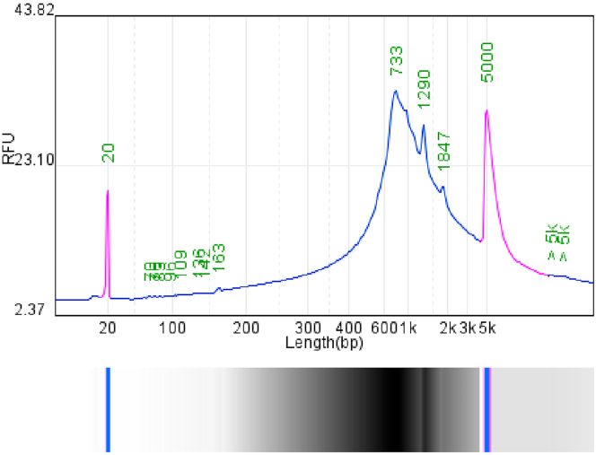 Figure 12