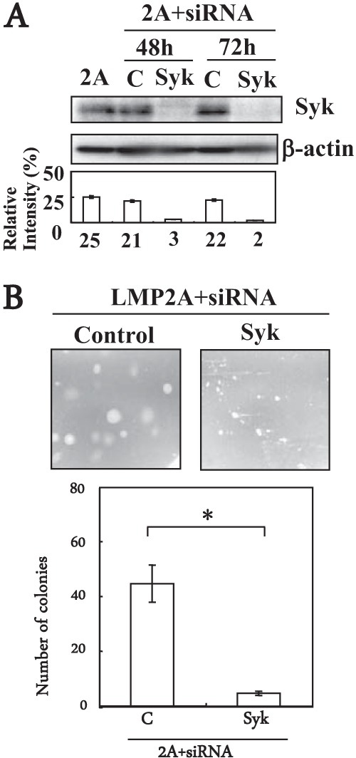 FIG 4