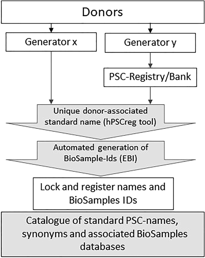 Figure 1