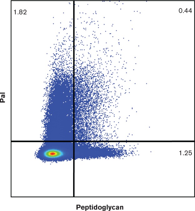 Fig. 2.