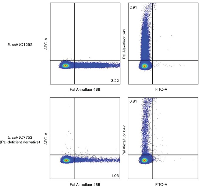 Fig. 4.