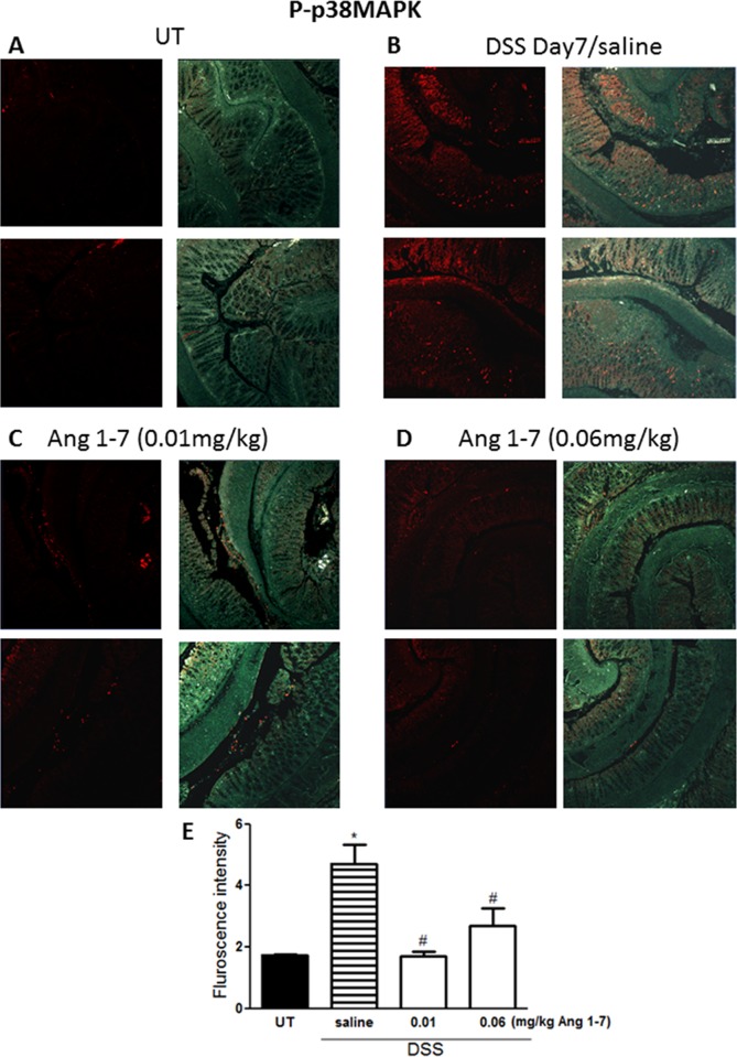 Fig 9