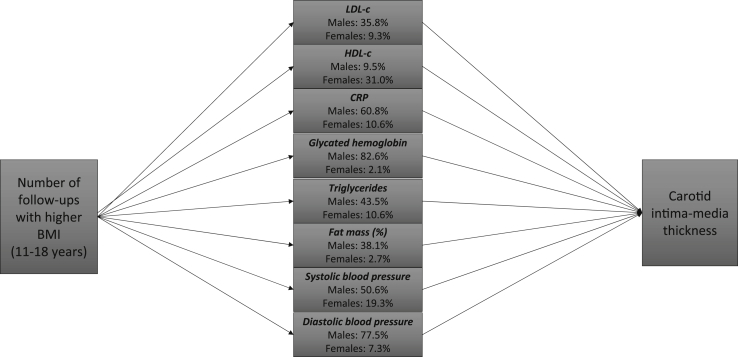 Fig. 1