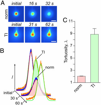 Fig. 6.