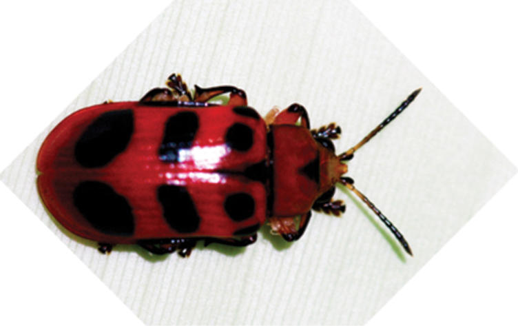 Figure 2.
