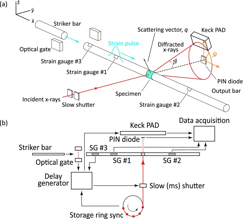 FIG. 1.