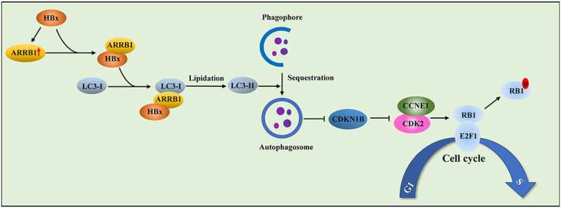 Figure 10.