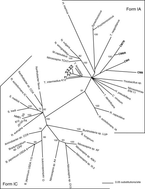 FIG. 1.