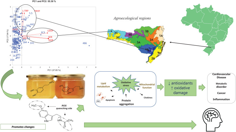 Graphical Abstract