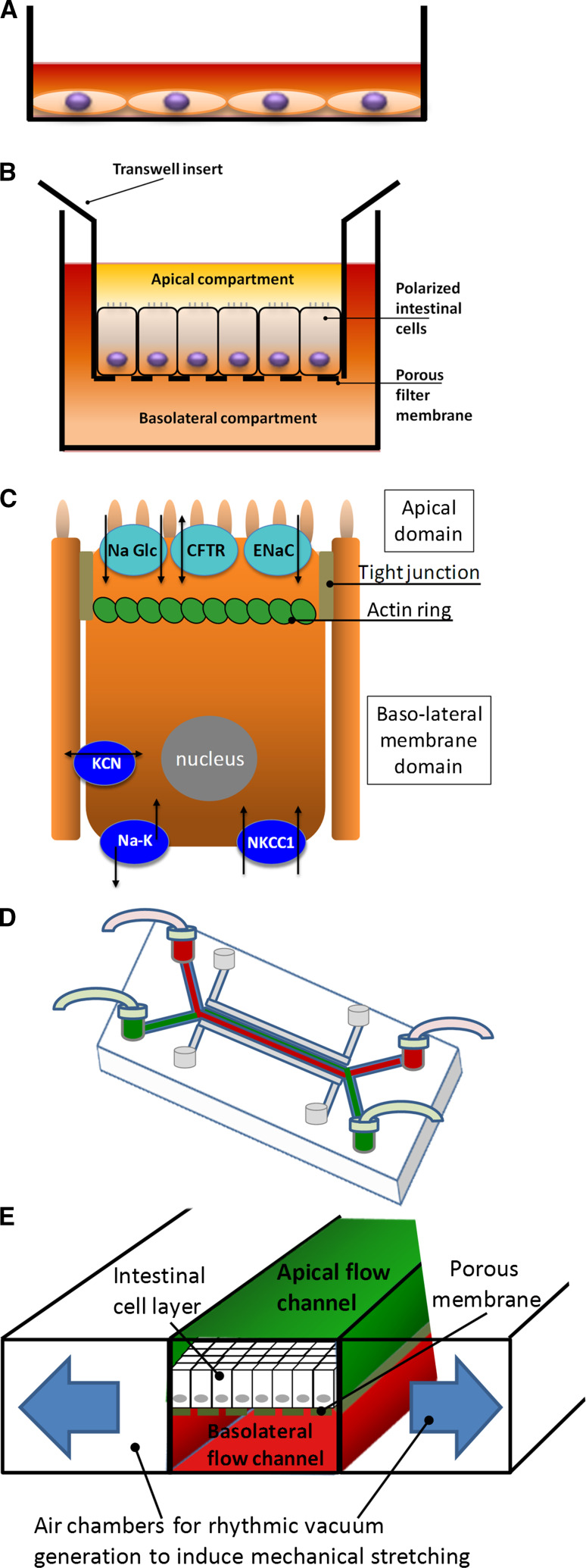 Fig. 2