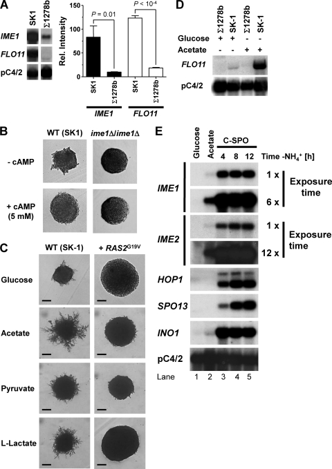 FIG. 8.