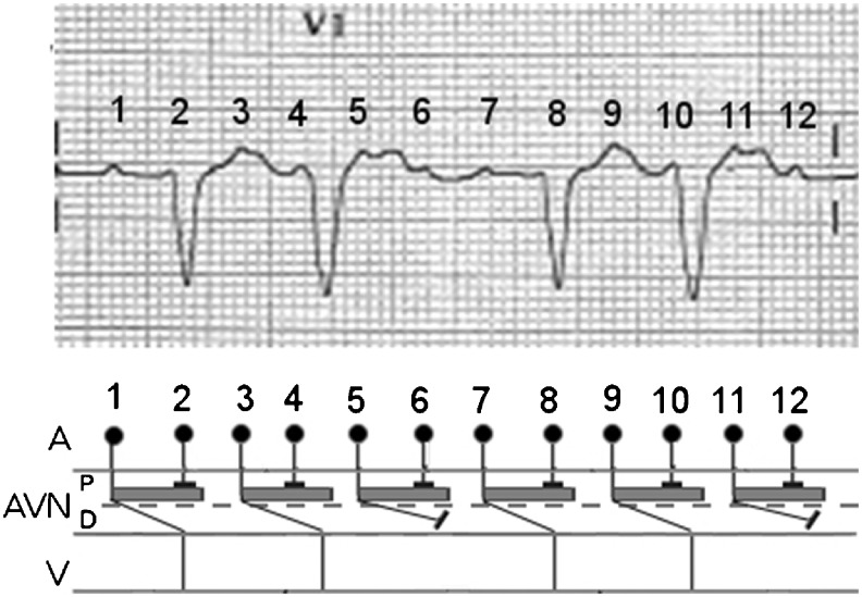 Fig. 2