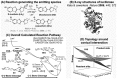 Fig. 9
