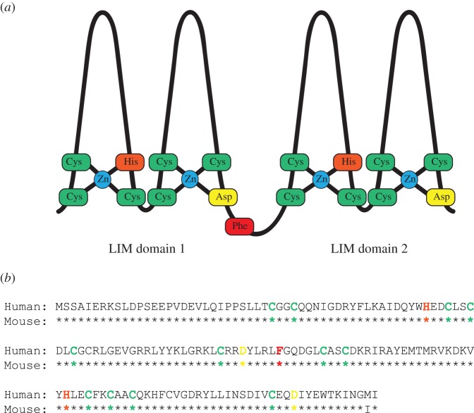 Figure 3.