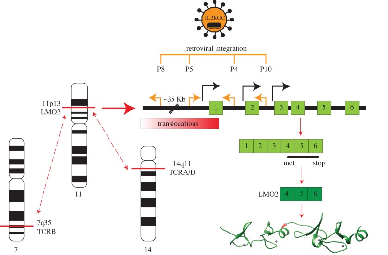 Figure 2.