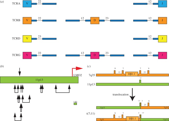 Figure 4.