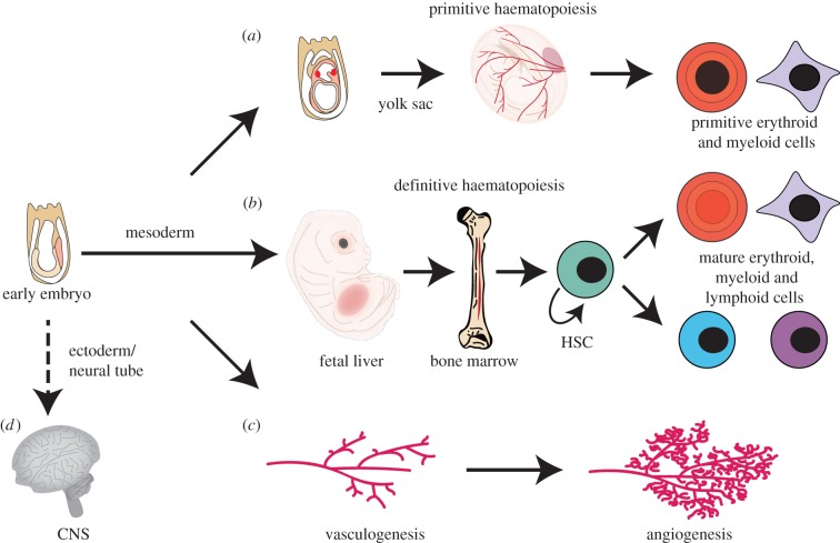 Figure 6.