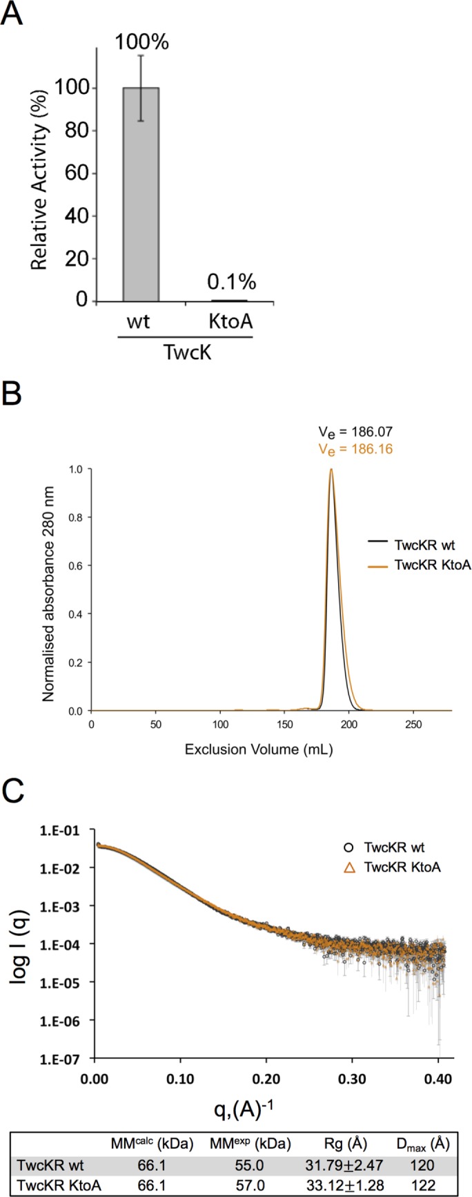 FIGURE 1: