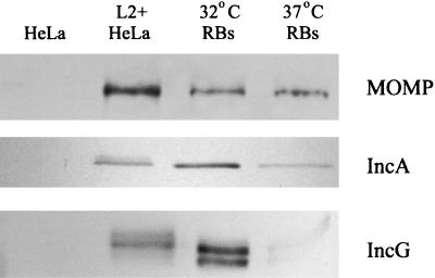 FIG. 5.